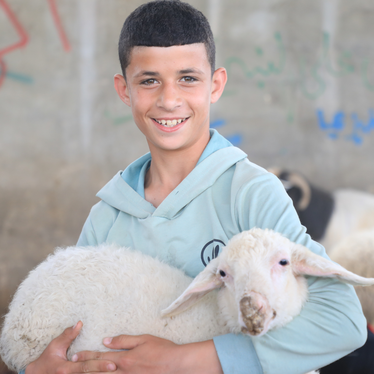 Click here for more information about Qurbani in Palestine (West Bank)