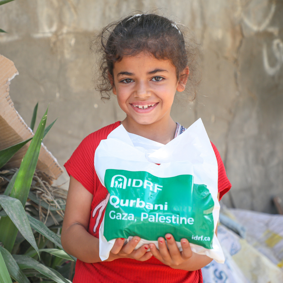 Click here for more information about Qurbani in Palestine